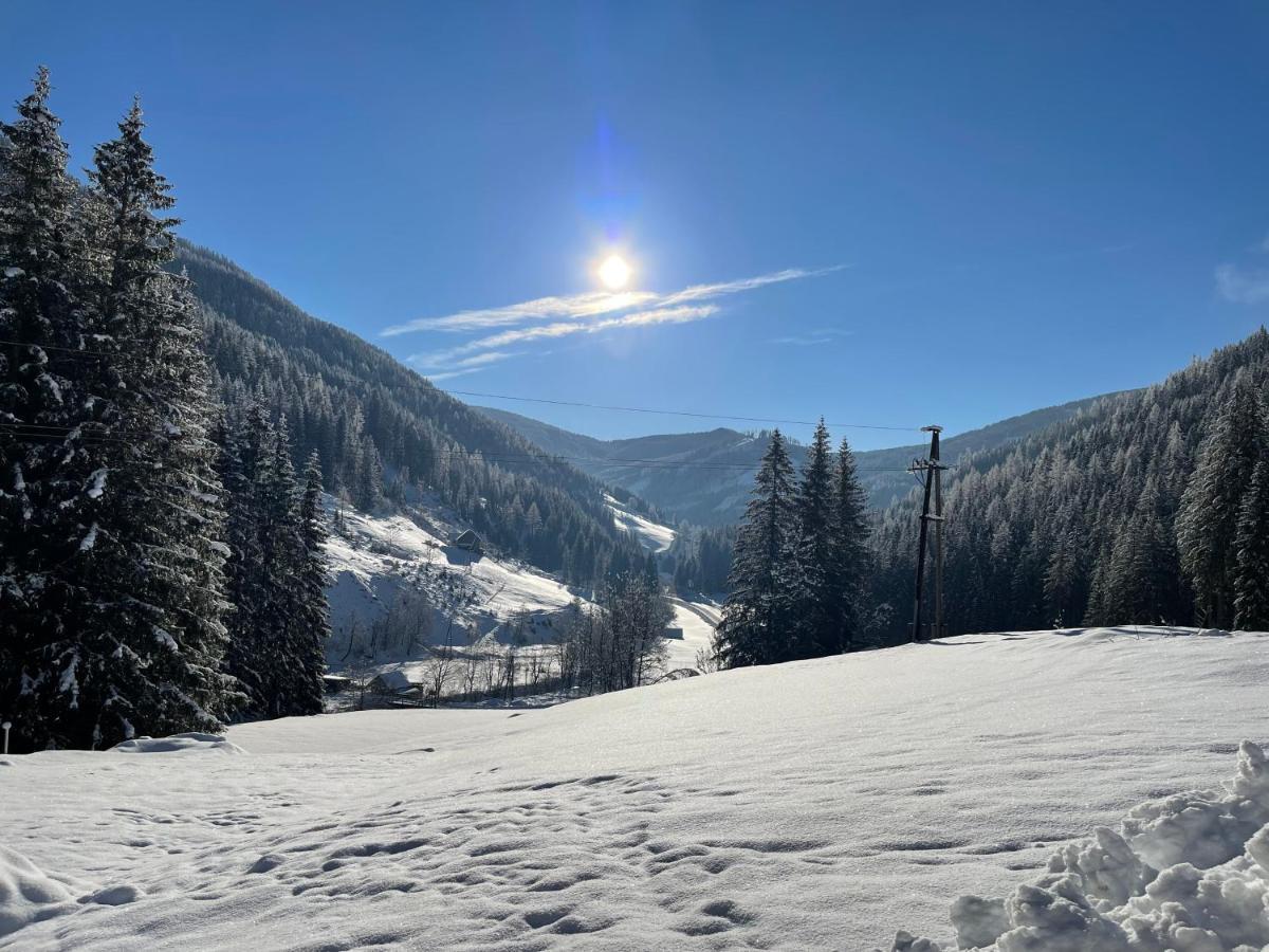 Ferienwohnungen Zum Klammlhof Ebene Reichenau Екстериор снимка